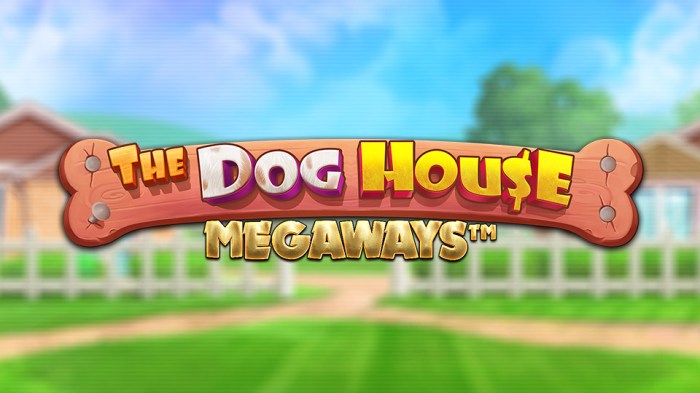 Cara bermain slot The Dog House Megaways untuk pemula